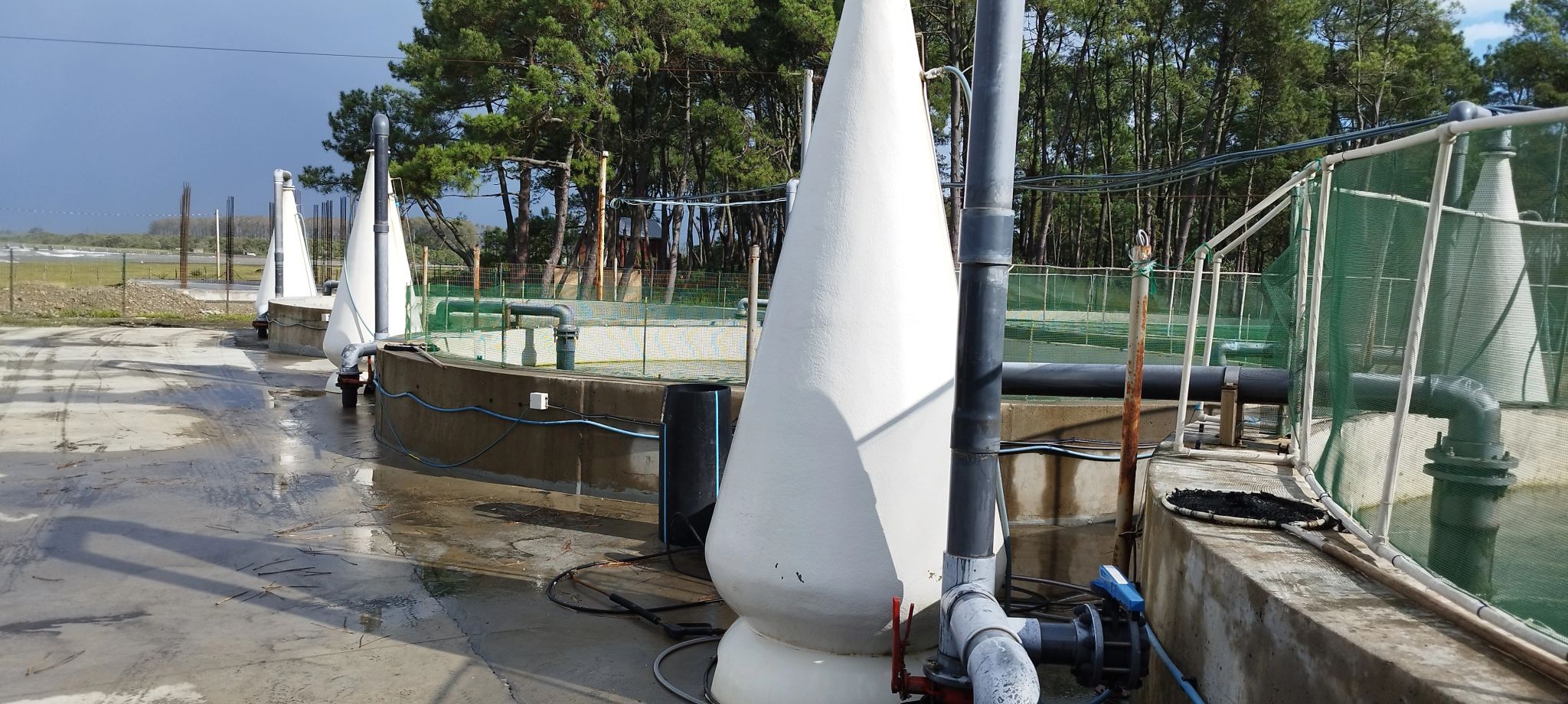 Piscifactoría de salmones